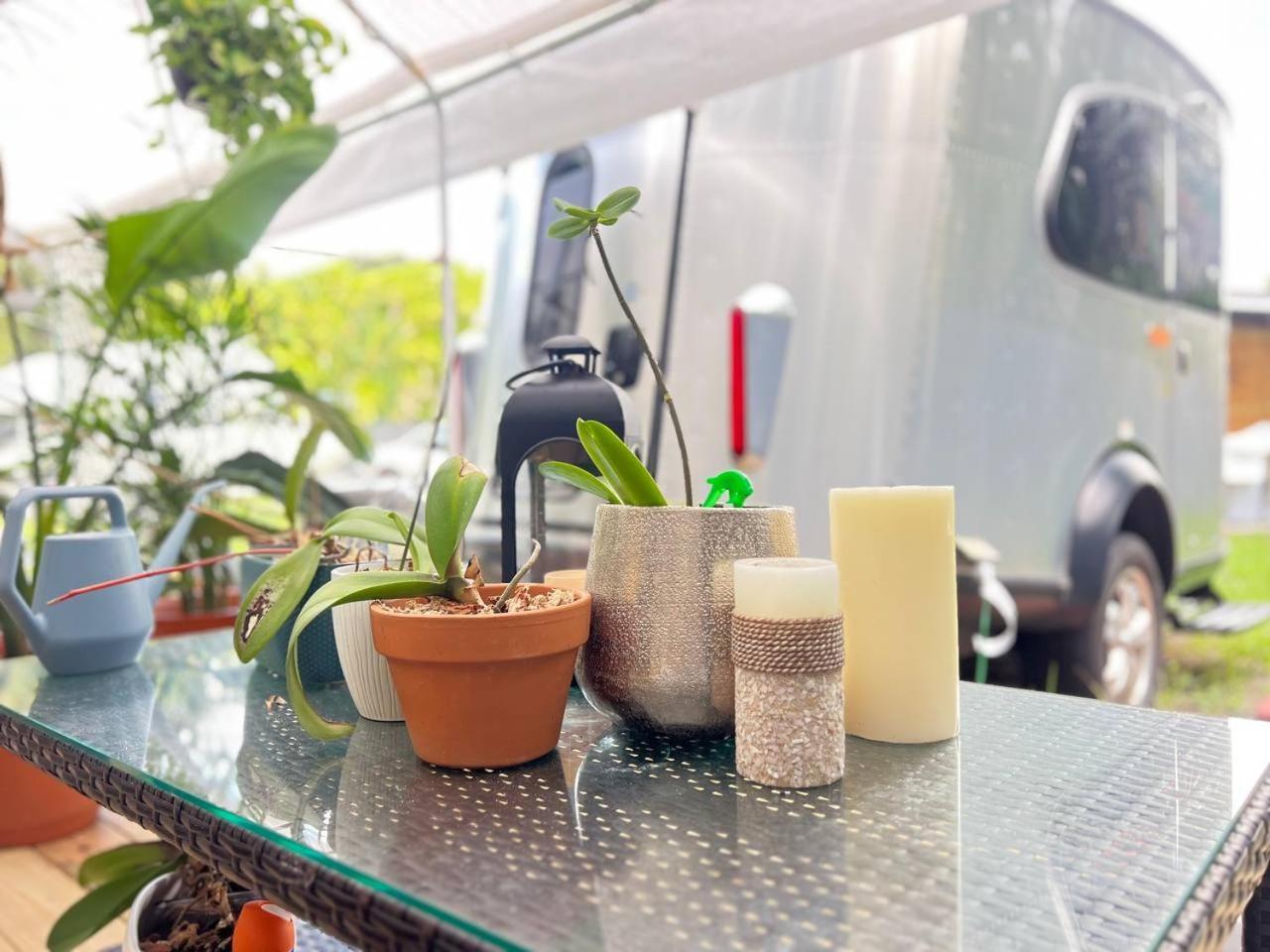 Apartamento Work, Rest And Play: Wifi, Tv And Backyard Bliss North Miami Beach Exterior foto